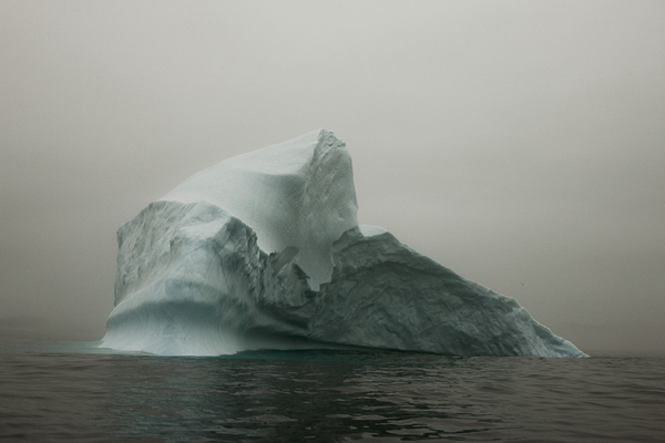 Simon Harsent - Iceberg